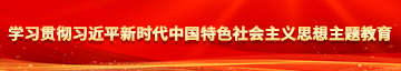 搡逼6080免费视频学习贯彻习近平新时代中国特色社会主义思想主题教育